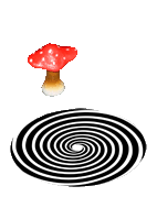 Pilz Illusion